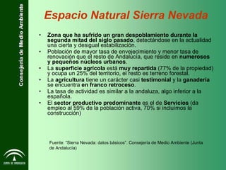 Zona que ha sufrido un gran despoblamiento durante la segunda mitad del siglo pasado , detectándose en la actualidad una cierta y desigual estabilización. Población de mayor tasa de envejecimiento y menor tasa de renovación que el resto de Andalucía, que reside en  numerosos y pequeños núcleos urbanos . La  superficie agrícola  está  muy repartida  (77% de la propiedad) y ocupa un 25% del territorio, el resto es terreno forestal. La  agricultura  tiene un carácter casi  testimonial  y la  ganadería  se encuentra  en franco retroceso . La tasa de actividad es similar a la andaluza, algo inferior a la española. El  sector productivo predominante  es el de  Servicios  (da empleo al 59% de la población activa, 70% si incluímos la construcción) Fuente: “Sierra Nevada: datos básicos”. Consejería de Medio Ambiente (Junta de Andalucía) Espacio Natural Sierra Nevada 