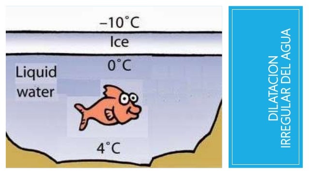 Dilatación irregular del agua