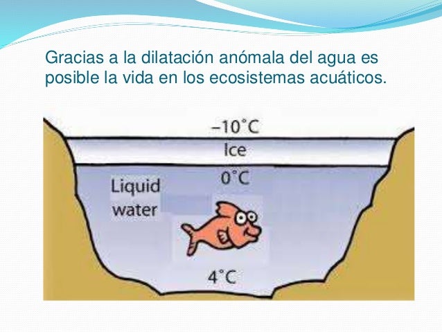 Dilatación anomala del agua