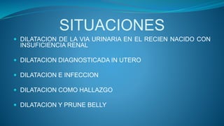 SITUACIONES
 DILATACION DE LA VIA URINARIA EN EL RECIEN NACIDO CON
INSUFICIENCIA RENAL
 DILATACION DIAGNOSTICADA IN UTER...