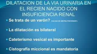 DILATACION DE LA VIA URINARIA EN
EL RECIEN NACIDO CON
INSUFICIENCIA RENAL
 Se trata de un varón? (VALVAS DE URETRA POSTER...