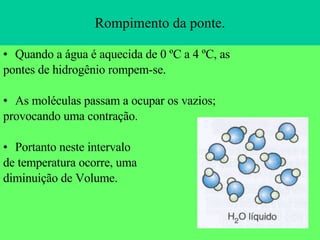 Rompimento da ponte. Quando a água é aquecida de 0 ºC a 4 ºC, as pontes de hidrogênio rompem-se. As moléculas passam a ocupar os vazios; provocando uma contração. Portanto neste intervalo de temperatura ocorre, uma diminuição de Volume. 