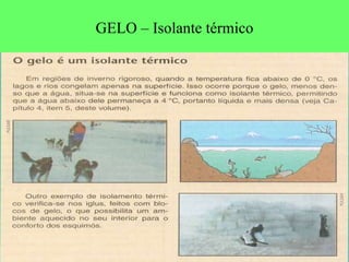 GELO – Isolante térmico 