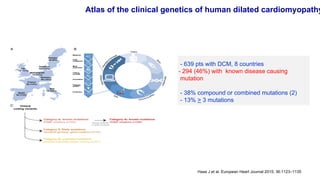 Dilated cardiomyopathy | PDF