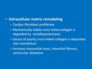 • Extracellular matrix remodeling
– Cardiac fibroblast proliferate
– Mechanically stable cross linked collagen is
degraded by metalloproteinases
– Excess of poorly cross-linked collagen is deposited
into interstitium
– Increase myocardial mass, intersitial fibrosis,
ventricular dilatation
 