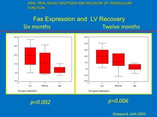 668N =
Fas gene expression
HighModerateLow
ChangeinEFat12months(%)
50.0
40.0
30.0
20.0
10.0
0.0
-10.0
-20.0
668N =
Fas gene expression
HighModerateLow
40.0
30.0
20.0
10.0
0.0
-10.0
Fas Expression and LV Recovery
p=0.002 p=0.006
Six months Twelve months
Sheppard, AHA 2003
IMAC TRIAL RESULT:APOPTOSIS AND RECOVERY OF VENTRICULAR
FUNCTION
 