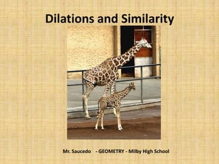 Dilations and Similarity

Mr. Saucedo - GEOMETRY - Milby High School

 