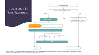 Comprehensive Overview of Idiopathic Pulmonary Fibrosis (IPF ...