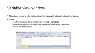 Variable view window
• This sheet contains information about the data set that is stored with the dataset
• Name
• The first character of the variable name must be alphabetic
• Variable names must be unique, and have to be less than 64 characters.
• Spaces are NOT allowed.
 