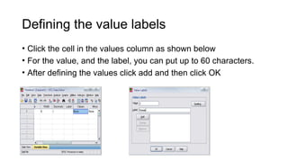 Defining the value labels
• Click the cell in the values column as shown below
• For the value, and the label, you can put up to 60 characters.
• After defining the values click add and then click OK
 