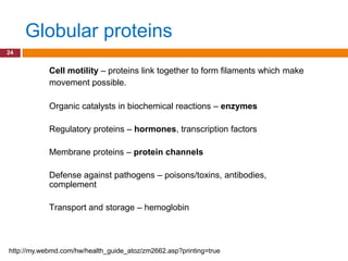 Globular proteins
24


            Cell motility – proteins link together to form filaments which make
            movement possible.

            Organic catalysts in biochemical reactions – enzymes

            Regulatory proteins – hormones, transcription factors

            Membrane proteins – protein channels

            Defense against pathogens – poisons/toxins, antibodies,
            complement

            Transport and storage – hemoglobin



http://my.webmd.com/hw/health_guide_atoz/zm2662.asp?printing=true
 