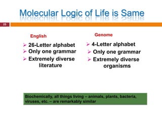 Molecular Logic of Life is Same
25



       English                Genome

      26-Letter alphabet    4-Letter alphabet
      Only one grammar      Only one grammar
      Extremely diverse     Extremely diverse
           literature             organisms
 