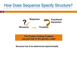 How Does Sequence Specify Structure?
29




                          Sequence              Functional
                  ?                             Genomics

              Structure            Function



                   The Protein Folding Problem
                 (second half of the genetic code)


           Structure has to be determined experimentally
 