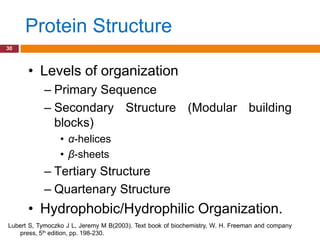 Protein Structure
30



      • Levels of organization
           – Primary Sequence
           – Secondary Structure (Modular building
             blocks)
                 • α-helices
                 • β-sheets
           – Tertiary Structure
           – Quartenary Structure
      • Hydrophobic/Hydrophilic Organization.
Lubert S, Tymoczko J L, Jeremy M B(2003). Text book of biochemistry, W. H. Freeman and company
   press, 5th edition, pp. 198-230.
 