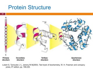 Protein Structure
31




Lubert S, Tymoczko J L, Jeremy M B(2003). Text book of biochemistry, W. H. Freeman and company
   press, 5th edition, pp. 198-230.
 