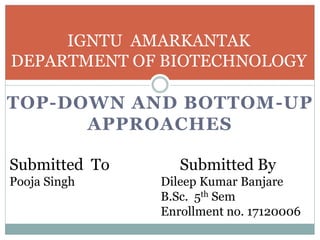 TOP-DOWN AND BOTTOM-UP
APPROACHES
IGNTU AMARKANTAK
DEPARTMENT OF BIOTECHNOLOGY
Submitted By
Dileep Kumar Banjare
B.Sc. 5th Sem
Enrollment no. 17120006
Submitted To
Pooja Singh
 