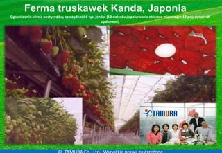 ©2011 TAMURA Co., Ltd. Wszystkie prawa zastrzeżone.
0
200
400
600
800
1,000
1,200
1,400
1,600
1/31 2/5 2/10 2/15 2/20 2/25...
