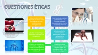 ¿Estamos borrando o
alterando las líneas entre
las especies al crear
combinaciones
transgénicas?
¿Cuáles son los riesgos
conocidos asociados a la
transgénica?
¿Cuáles son los efectos
ambientales a largo plazo
cuando los transgénicos
son liberados en el medio
ambiente?
¿Qué controles y
revisiones éticas, sociales
y legales deben ser
impuestos sobre este
tipo de investigación?
¿Cuáles serían las
consecuencias
personales, sociales y
culturales no
intencionales?
¿Estamos causando dolor
y sufrimiento a las
criaturas vivientes
cuando creamos ciertos
tipos de quimeras?
 