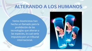 Varios bioeticistas han
hecho un llamado para la
prohibición de las
tecnologías que alteran a
las especies, la cual sería
impuesta por un tribunal
internacional.
 