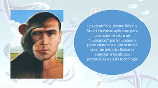 Los científicos Jeremy Rifkin y
Stuart Newman aplicaron para
una patente sobre un
“humancé,” parte humano y
parte chimpancé, con el fin de
crear un debate y llamar la
atención a los abusos
potenciales de esta tecnología
 