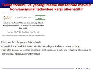 Prof.Dr. İbrahim USLU
Defne tohumu ve yapraği meme kanserinde mevcut
konvansiyonal tedavilere karşi alternatiftir
 