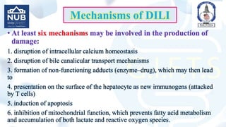 drug induced liver injury for undergraduates | PPTX