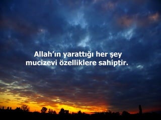 Allah’ın yarattığı her şey mucizevi özelliklere sahiptir.  