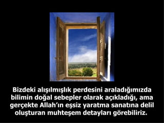 Bizdeki alışılmışlık perdesini araladığımızda bilimin doğal sebepler olarak açıkladığı, ama gerçekte Allah’ın eşsiz yaratm...