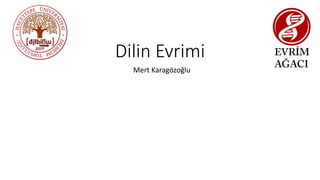 Dilin Evrimi
Mert Karagözoğlu
 