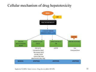 Drug induced hepatotoxicity and its regulatory implications | PPTX