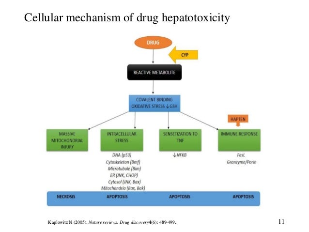 Nature Reviews Apoptosome Nature Reviews Apoptosome