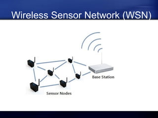 Wireless Sensor Network (WSN)

 