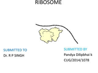 RIBOSOME 
SUBMITTED TO 
Dr. R P SINGH 
SUBMITTED BY 
Pandya Dilipbhai k 
CUG/2014/1078 
 