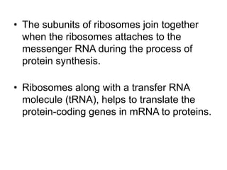 Protein synthesis 
• Process starts from DNA 
through “transcription” 
• “Translation” is where 
ribosome comes in. 
Trans...