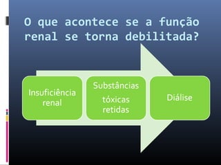O que acontece se a função 
renal se torna debilitada? 
 
