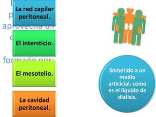 La dialisis
   La red capilar
  peritoneal
    peritoneal.
aprovecha un
  dializador
   El intersticio.
   natural,
formado por:
                     Sometido a un
    El mesotelio.         medio
                     articicial, como
                     es el liquido de
                         dialisis.
     La cavidad
     peritoneal.
 