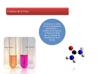Cinética de la Urea



                       Se basa en la suma
                      de los aclaramientos
                         peritoneales y
                      renales de la urea en
                        24 horas dividido
                       por el volumen de
                        distribución de la
                              misma.
 