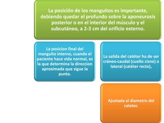 La posición de los manguitos es importante,
 debiendo quedar el profundo sobre la aponeurosis
     posterior o en el interior del músculo y el
     subcutáneo, a 2-3 cm del orificio externo.


     La posicion final del
 manguito interno, cuando el
                                La salida del catéter ha de ser
paciente hace vida normal, es
                                cráneo-caudal (cuello cisne) o
la que determina la direccion
                                    lateral (catéter recto),
   aproximada que sigue la
           punta.




                                  Ajustada al diametro del
                                          cateter.
 