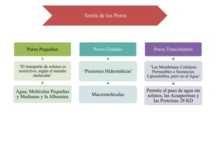 Teoría de los Poros




     Poros Pequeños                  Poros Grandes             Poros Trancelulares


 ‘El transporte de solutos es                                ‘Las Membranas Celulares
 restrictivo, según el tamaño   ‘Presiones Hidrostáticas’      Permeables a Sustancias
           molecular’                                       Liposolubles, pero no al Agua’


Agua, Moléculas Pequeñas                                    Permite el paso de agua sin
y Medianas y la Albumina            Macromoléculas          solutos, las Acuaporinas y
                                                               las Proteínas 28 KD
 