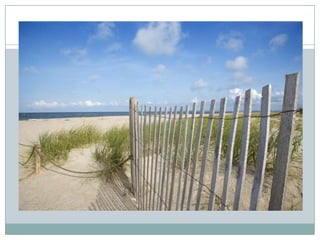 The Engaged LibraryURBAN LIBRARIES COUNCIL2005