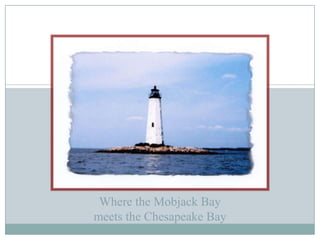  4,112 Linear Feet Shelving