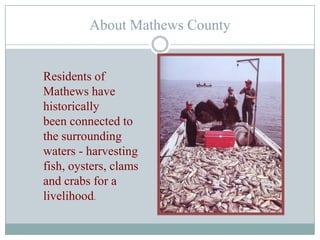 About Mathews CountySquare Miles, 84Miles of Shoreline, 210Population, 9,200Lighthouses, 2Bridges, 3Traffic Lights, 0