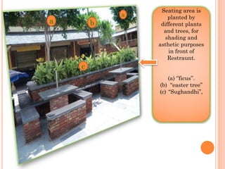 Seating area is
planted by
different plants
and trees, for
shading and
asthetic purposes
in front of
Restraunt.
(a) ‘’ficus’’.
(b) “easter tree”
(c) “Sughandhi”,
c
a
a
b
 