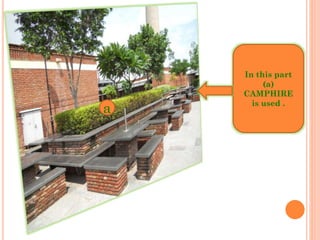 In this part
(a)
CAMPHIRE
is used .
a
 