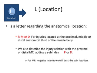 L (Location)
• Is a letter regarding the anatomical location:
• P, M or D For injuries located at the proximal, middle or
distal anatomical third of the muscle belly.
• We also describe the injury relation with the proximal
or distal MTJ adding a subindex P or D.
» For MRI negative injuries we will describe pain location.
Location
 