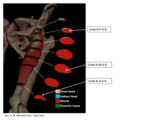 Kerr, R. M. MRI Web Clinic—May 2014.
Code N-D-0-R.
Code N-P-0-R.
Code N-M-0-R.
 