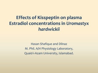 Effects of Kisspeptin on plasma
Estradiol concentrations in Uromastyx
hardwickii
Hasan Shafique and Dilnaz
M. Phil. A/H Physiology Laboratory,
Quaid-i-Azam University, Islamabad.
 