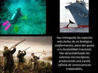 Has extinguido las especies
más bellas de mi biológica
conformación, para dar gusto
a tu bestialidad irracional.
Has desestabilizado las
colonias microscópicas,
produciendo una escala
infinita de consecuencias
irreparables.
 