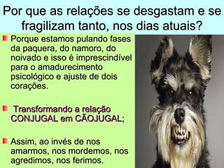 Por que as relações se desgastam e se
   fragilizam tanto, nos dias atuais?
 Porque estamos pulando fases
 da paquera, do namoro, do
 noivado e isso é imprescindível
 para o amadurecimento
 psicológico e ajuste de dois
 corações.

 Transformando a relação
 CONJUGAL em CÃOJUGAL;

 Assim, ao invés de nos
 amarmos, nos mordemos, nos
 agredimos, nos ferimos.
 