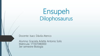 Ensupeh
Dilophosaurus
Docente: Isacc Dávila Atenco
Alumna: Graciela Arlette Antonio Solis
Matricula: 171307080000
3er semestre Biología
 